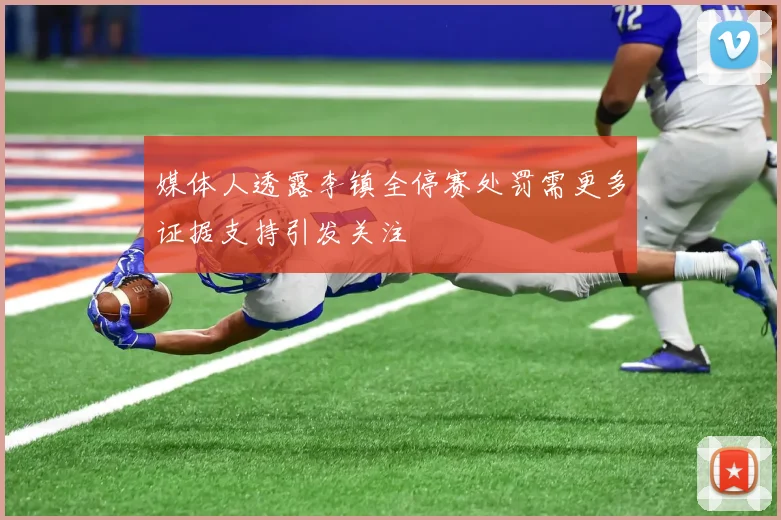 媒体人透露李镇全停赛处罚需更多证据支持引发关注